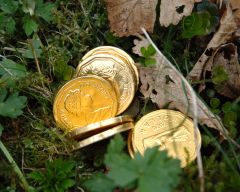 coins coins