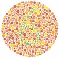 Ishihara Plate Ishihara Plate